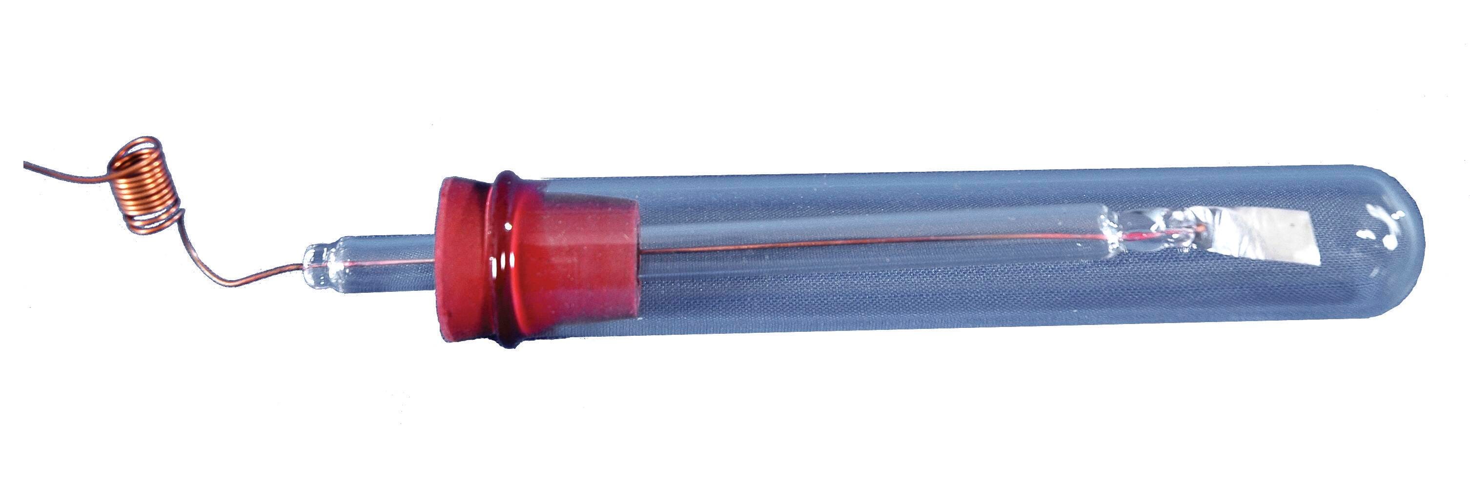 Frey Scientific Platinum Electrodes - Pack of 2, Item Number 584283