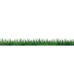 Bulletin Board Boarders and Trimmers, Item Number 2004302