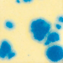 Sax Crystal Magic Glaze, Buttercup Blue, 1 Pint 407173