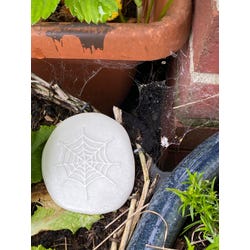 ANGLEIMAGES_FULLIMAGE