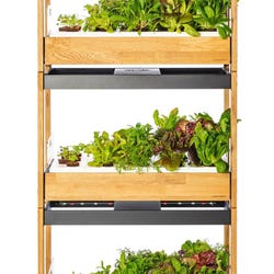 ANGLEIMAGES_FULLIMAGE