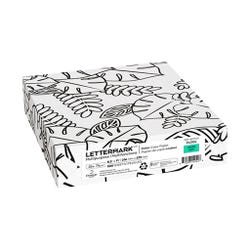 LetterMark Multi-Purpose Paper, 20 lb, 8-1/2 x 11 Inches, Green, Pack of 500, Item Number 2095591