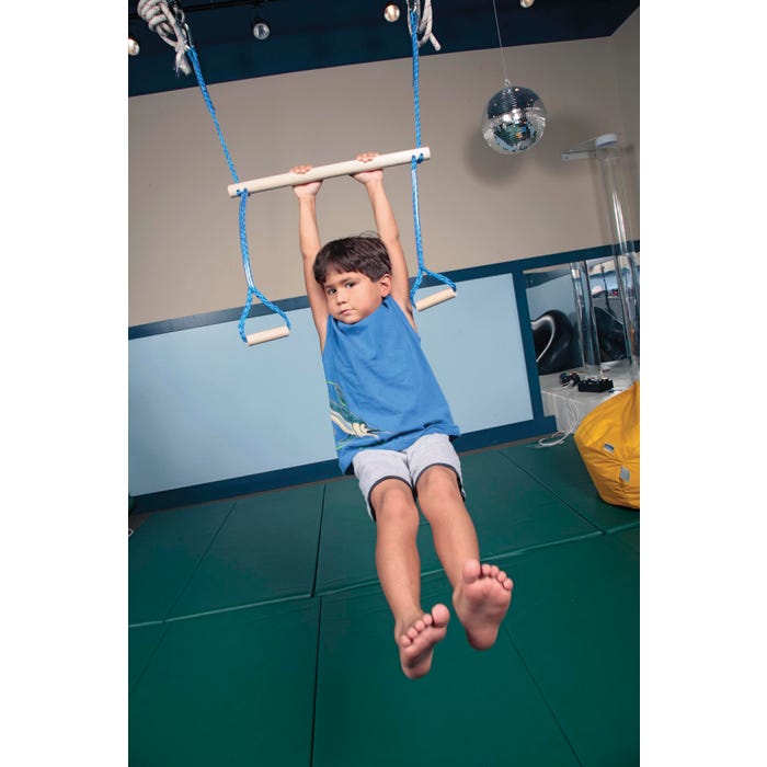 Abilitations Monkey Bar Swing