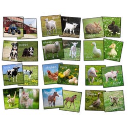 Animals, Nature Carpets And Rugs Supplies, Item Number 1595541