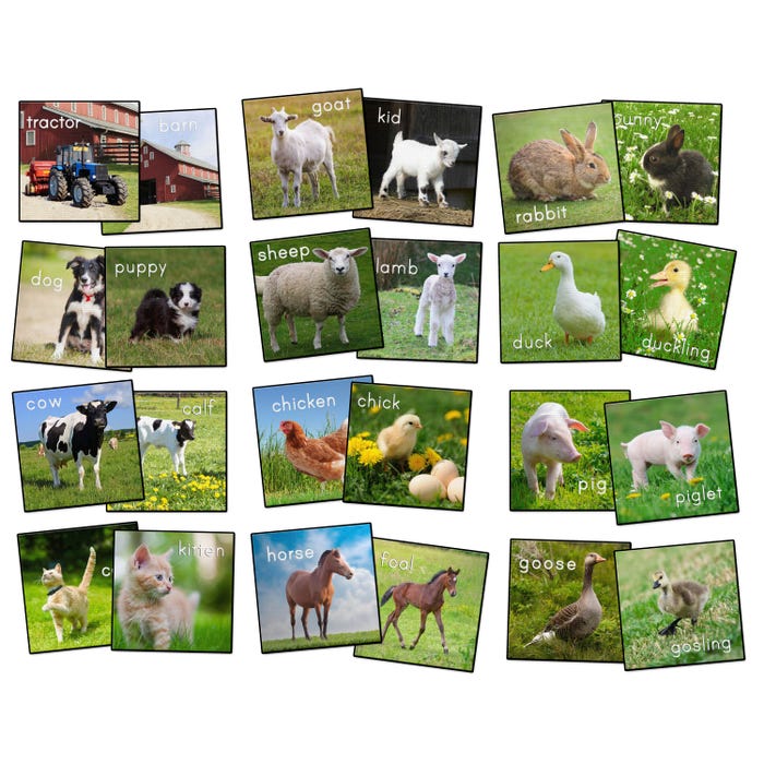 Flagship Carpets Barn Animals Stow-N-Go Carpet Squares, 16 Inches, Set of 24