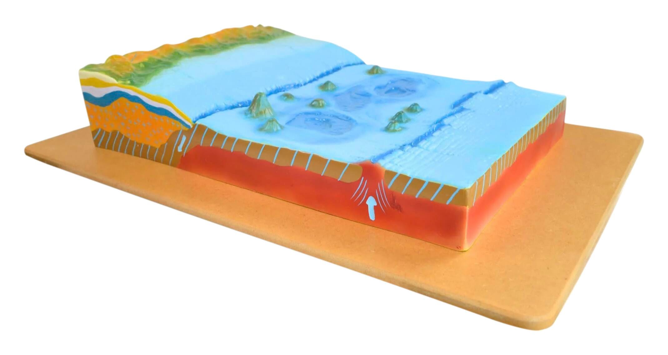 Image for Eisco Labs Sea Bottom Countertop Model with Labeled Features, Wall Mountable Backboard from School Specialty