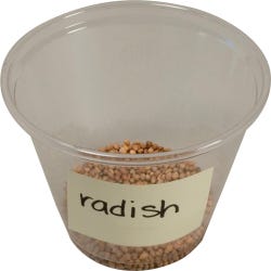 Delta Education Radish Seeds, 1/2 Ounce