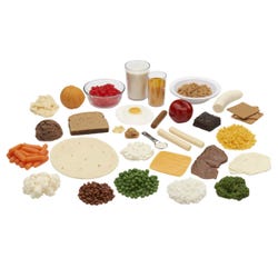 Nasco Exchange List Portions Food Replica Kit, Set of 30