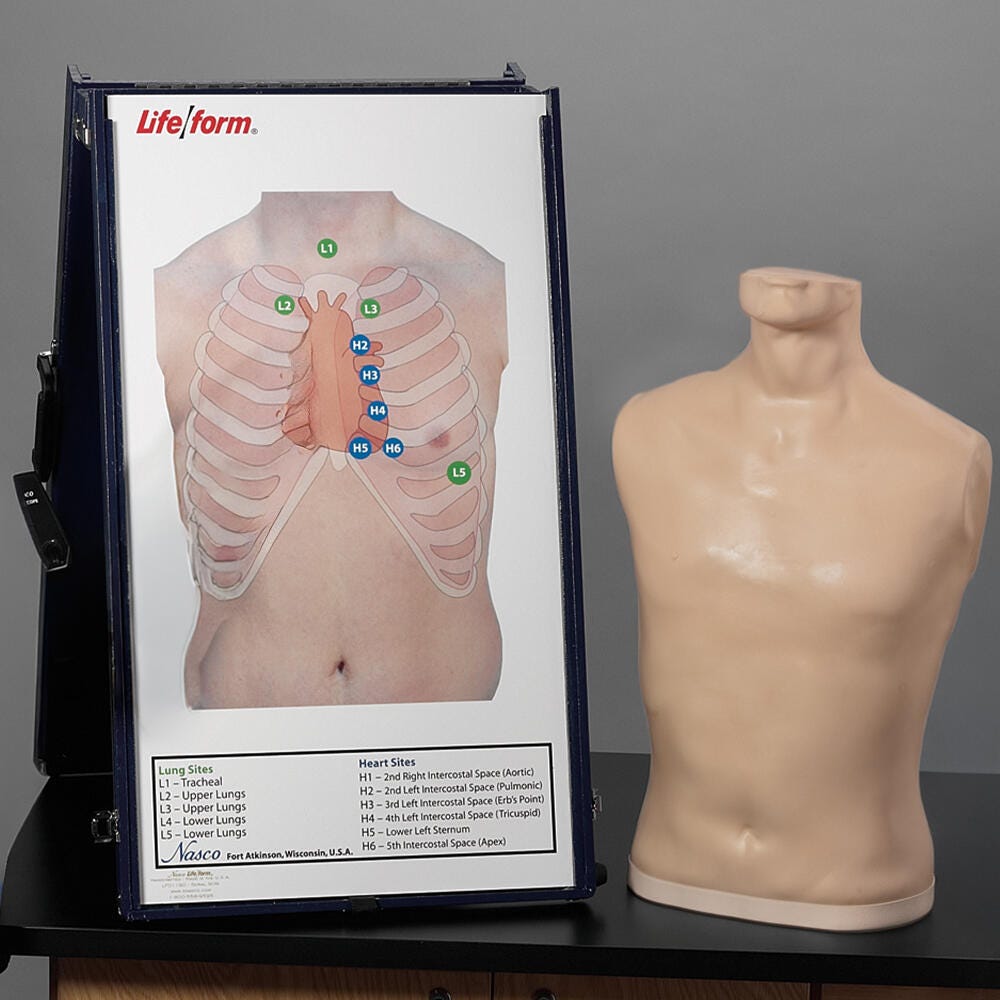 Complete Life/form® Auscultation Training Station