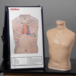 Complete Life/form Auscultation Training Station