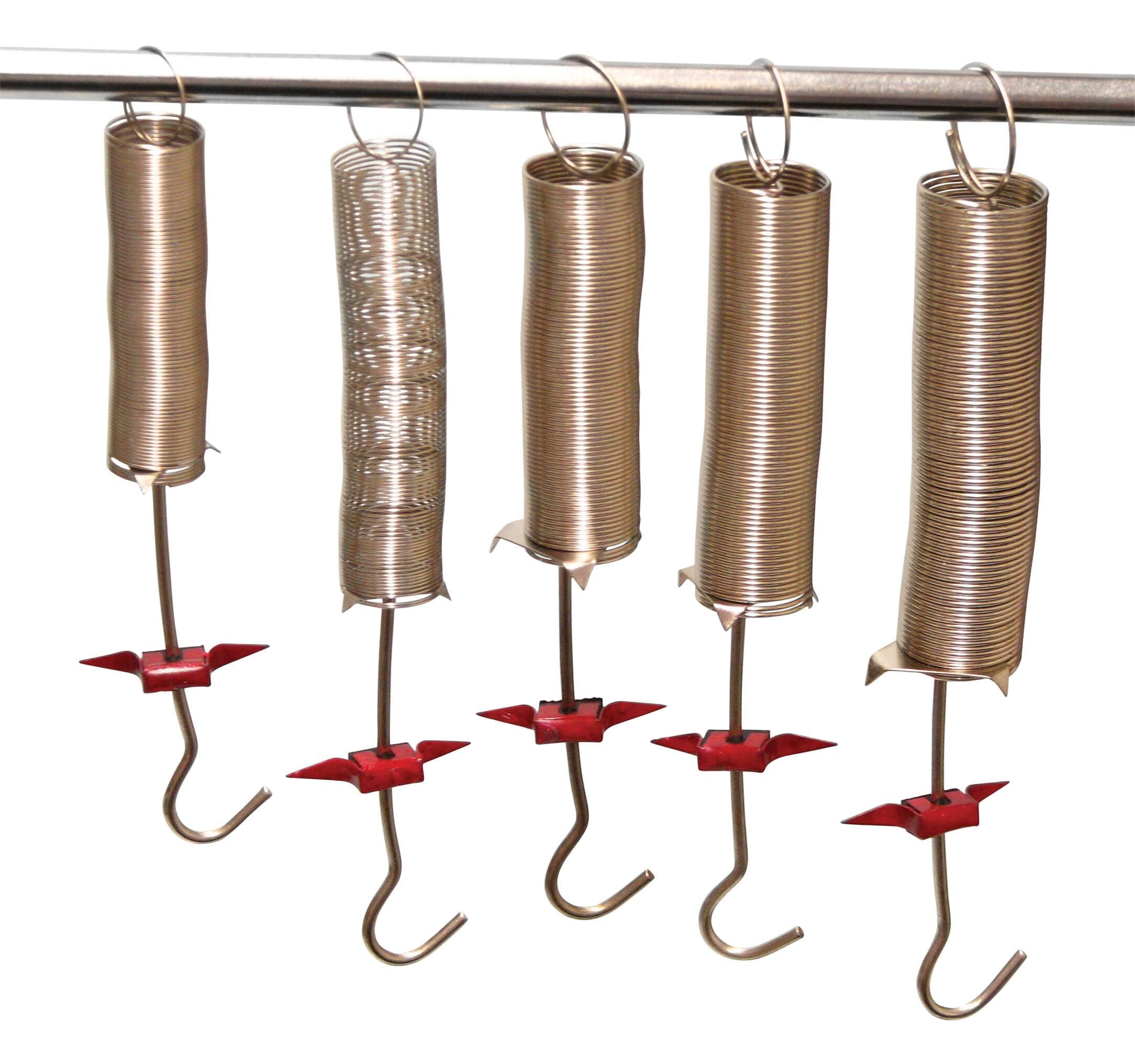 Frey Scientific Spring Set - Set of 5, Item Number 1017014