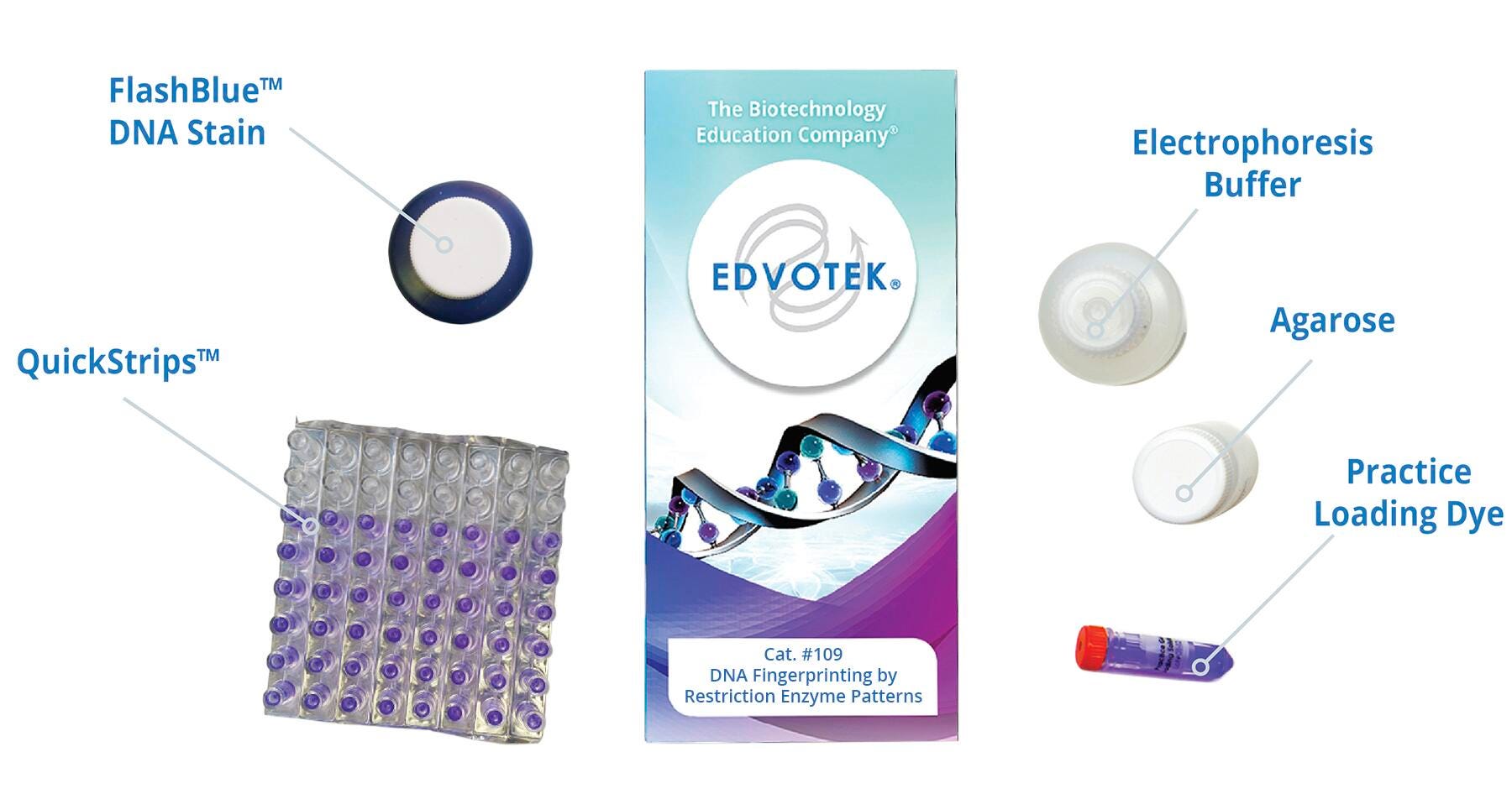 Edvotek DNA Fingerprinting Kit 561952