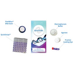 Edvotek DNA Fingerprinting Kit 561952