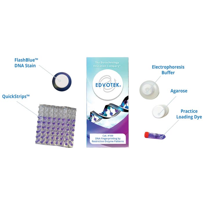 Edvotek DNA Fingerprinting by Restriction Enzyme Patterns Kit