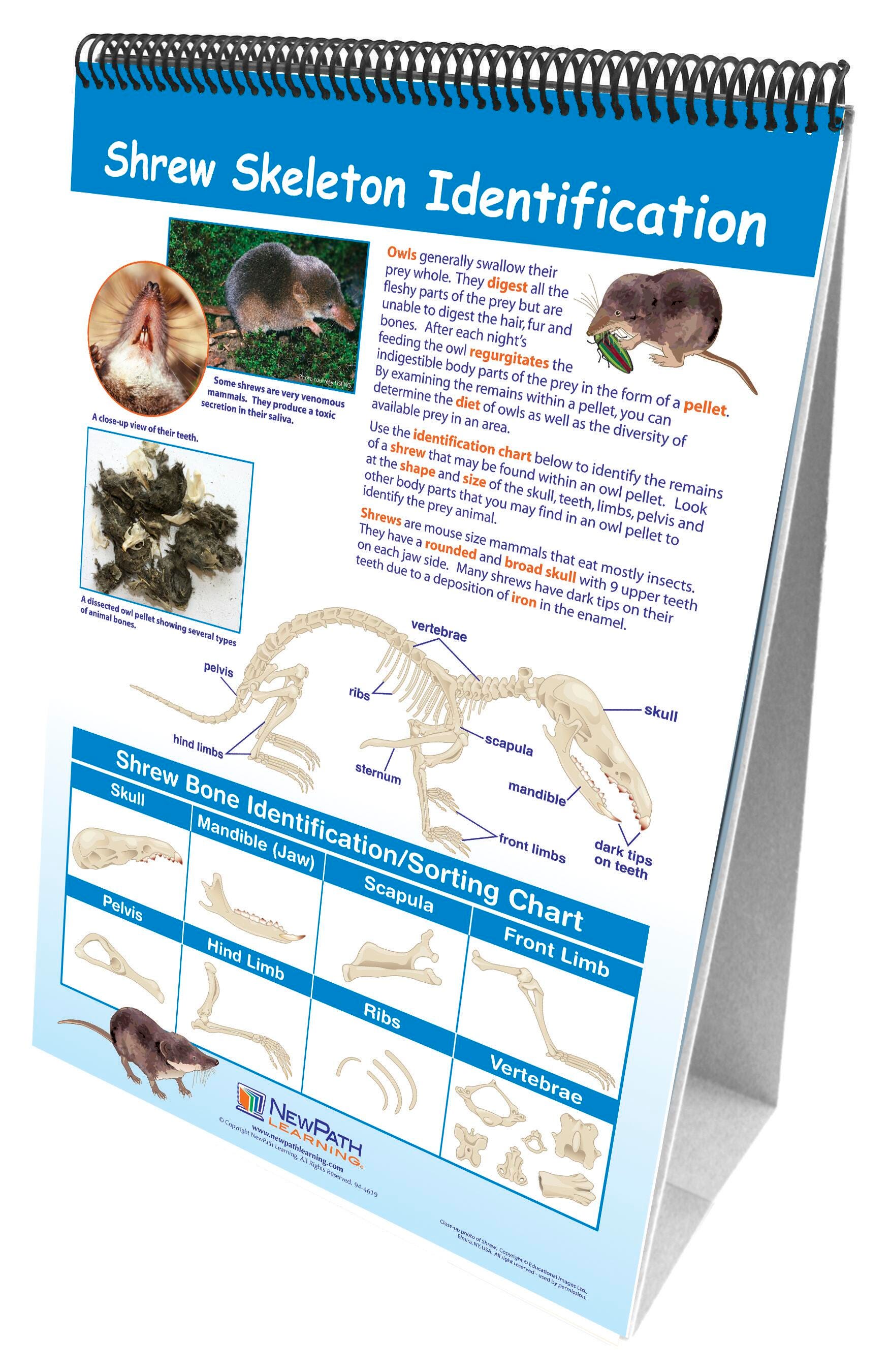 Zoology, Entomology, Item Number 1361607