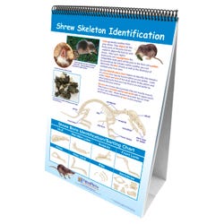 Zoology, Entomology, Item Number 1361607