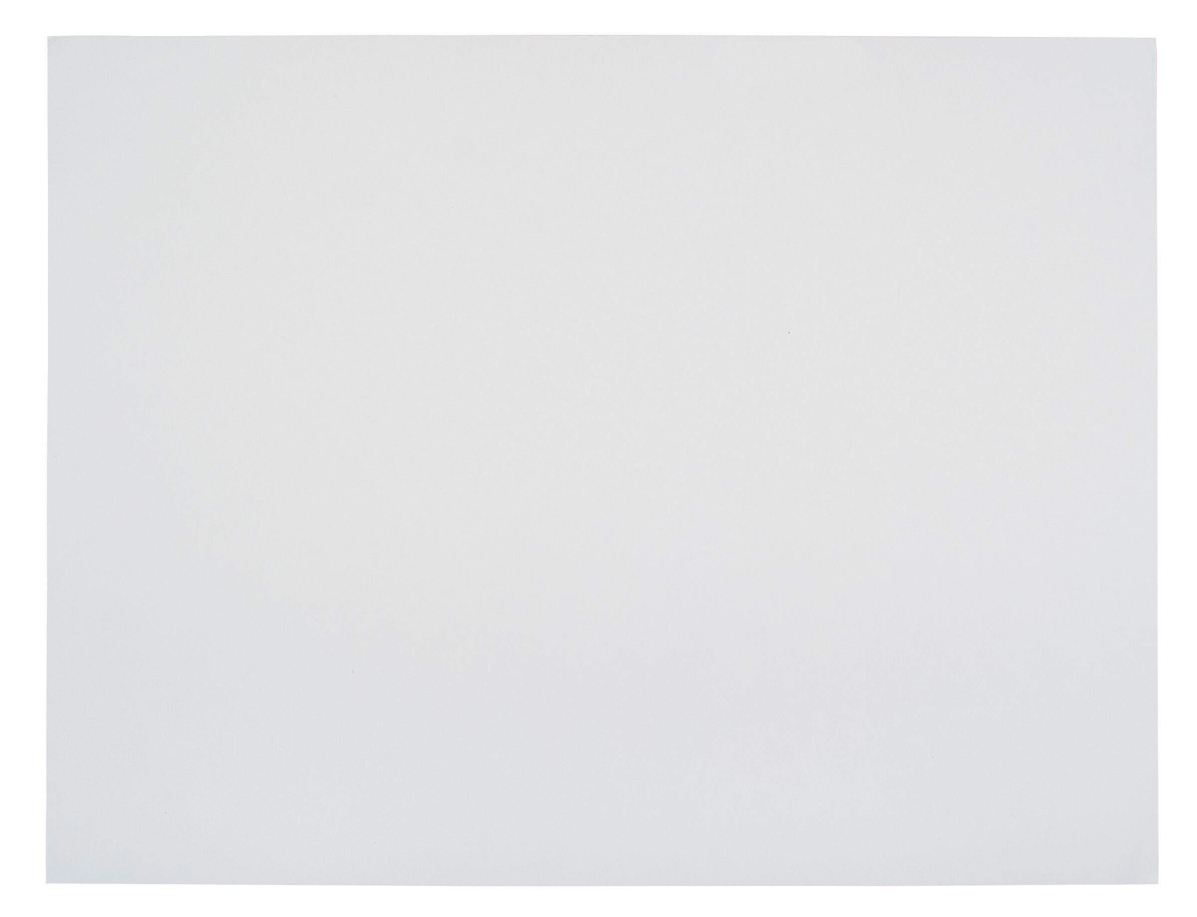 School Smart Railroad Board, 22 x 28 Inches, 6-Ply, White, Pack of 100 1485754