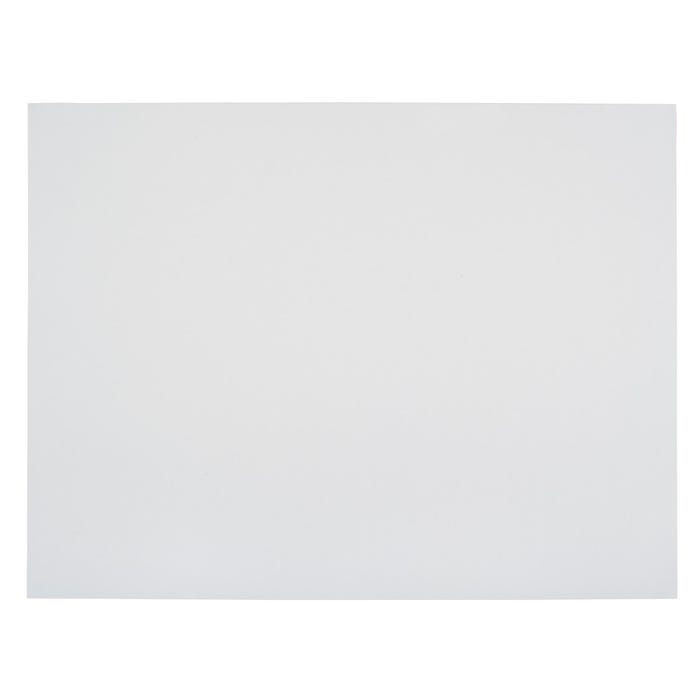 School Smart Poster Board, 22x28 Inches, 8-Ply Thickness, White