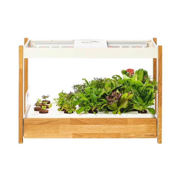 Click & Grow 25 Starter Kit, White