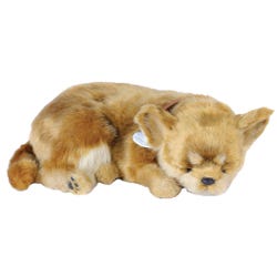 Perfect Petzzz Chihuahua 2121765
