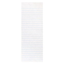 School Smart Ruled Spelling Slip, 4 x 10-1/2 Inches, White, Pack of 500 085473