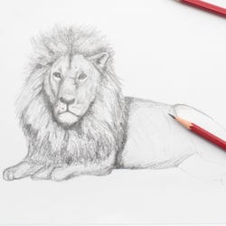 ANGLEIMAGES_FULLIMAGE