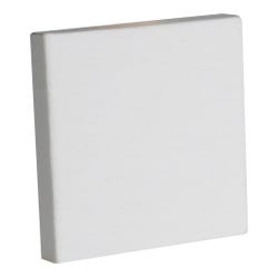 Stretched Canvas, Item Number 1582835