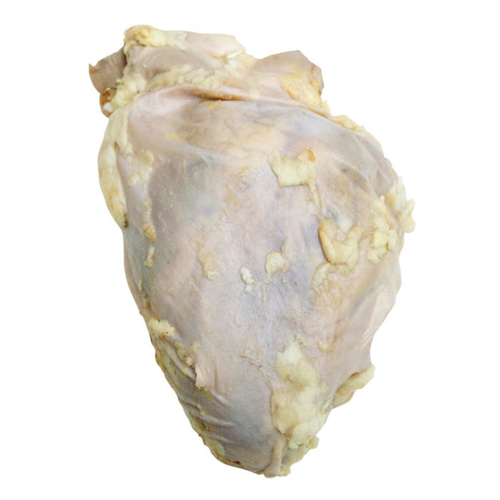 Frey Scientific Choice Preserved Sheep Hearts, Vacuum Sealed Pack of 10