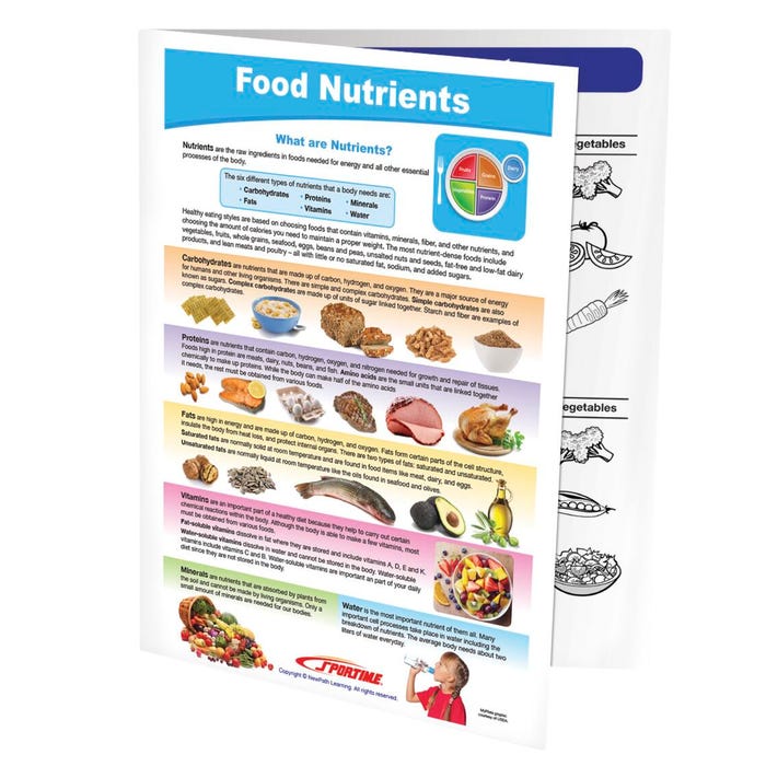 Sportime Food Nutrients Visual Learning Guide, 4 Pages, Grades 5 to 9