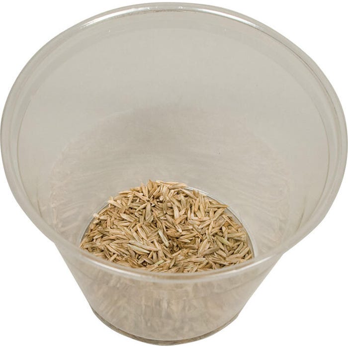 Delta Education Rye Grass Seeds, 4 Ounces