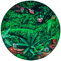 Carpets for Kids Real Jungle Floor Carpet, 6 Feet, Round, Green, Item Number 2019670