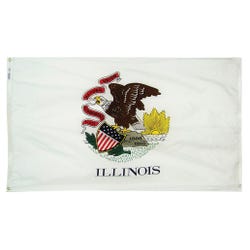 Annin Illinois State Flag, Heavy Weight Nylon, Outdoor, 3 x 5 Feet