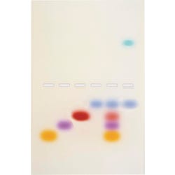 Principles and Practice of Agarose Gel Electrophoresis 2134041