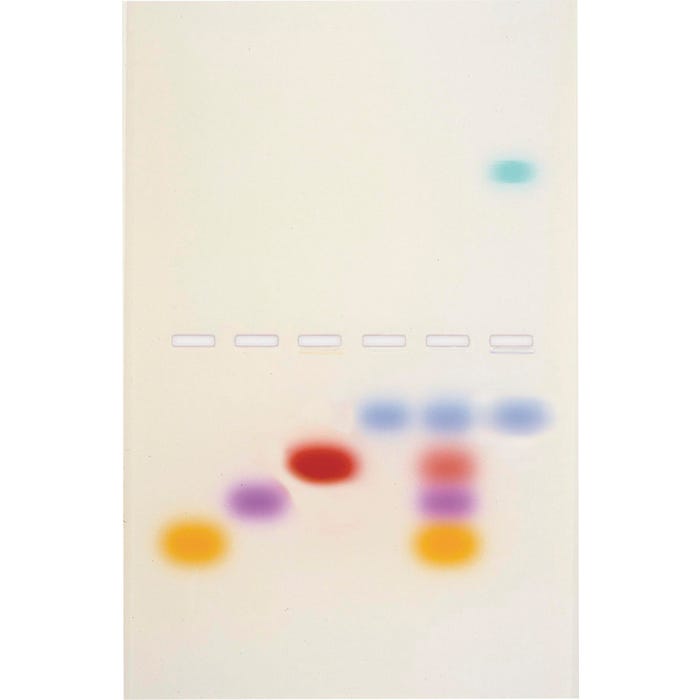 Edvotek Principles and Practice of Agarose Gel Electrophoresis