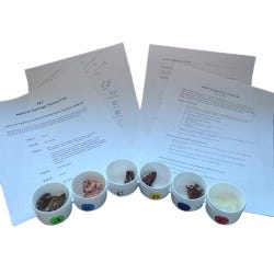 Leave Only Bubbles Sponge Spicule Lab Activity