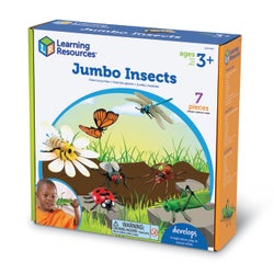 ANGLEIMAGES_FULLIMAGE