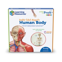 Learning Resources Magnetic Human Body, Skeletal System and Muscular System 1370881