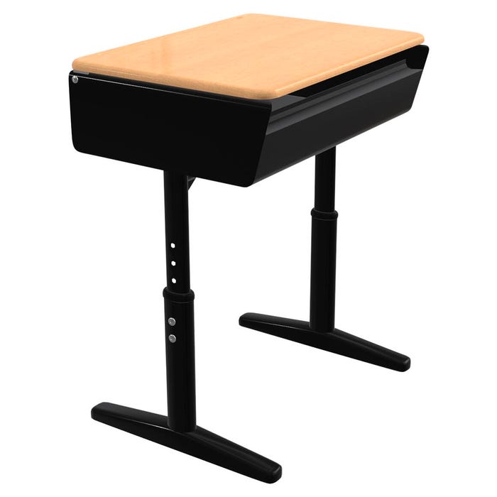Classroom Select Contemporary Elliptical Lift Lid Desk, 24 x 18 Inches