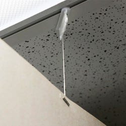 ANGLEIMAGES_FULLIMAGE