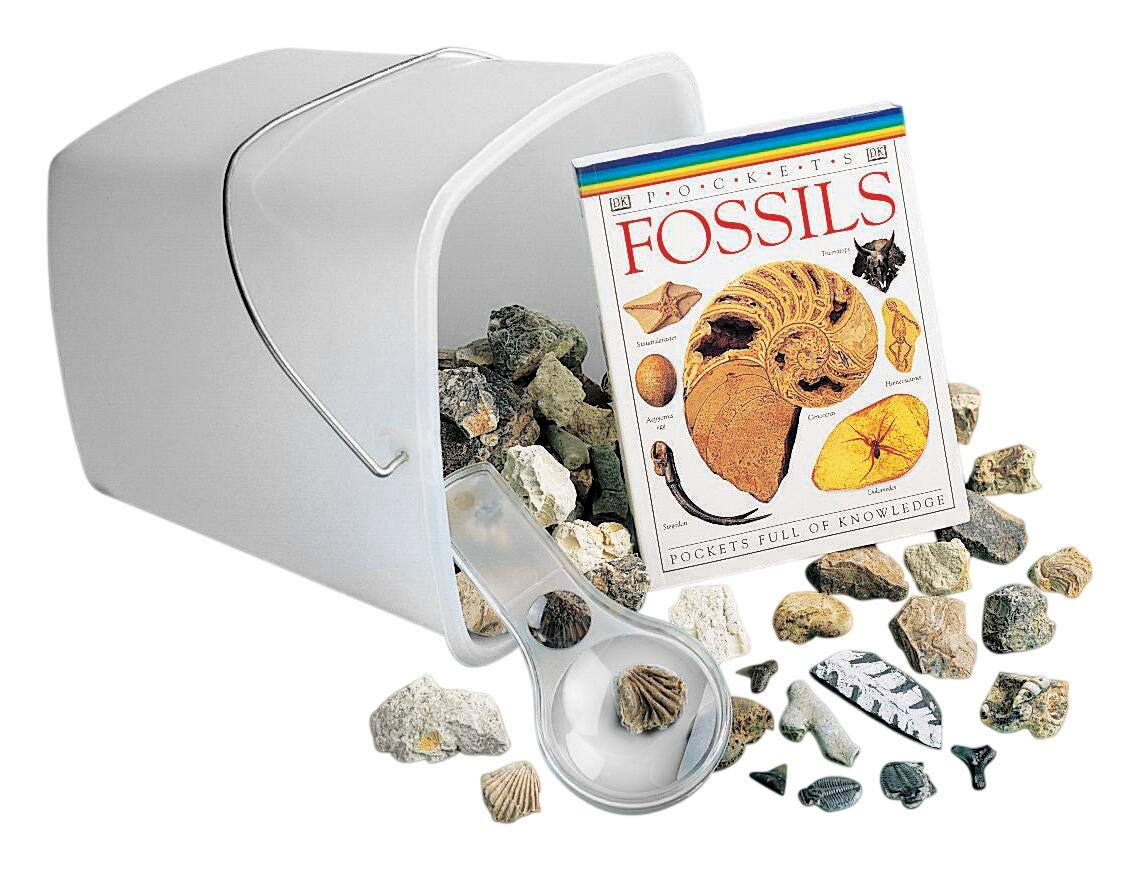 Delta Education Hands-On Exploration: Fossils 750-5035