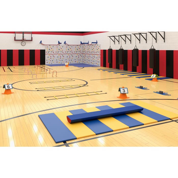 PE Multipurpose Collection