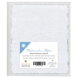 Shizen Professional Watercolor Paper, 9 x 12 Inches, White, 25 Sheets, Item Number 2090748