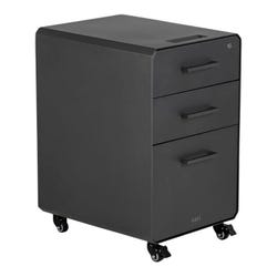 Filing Cabinets, Item Number 2039904