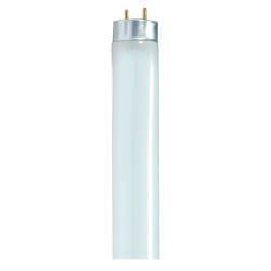 Light Bulbs, Item Number 1498330