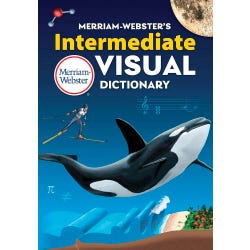 Dictionary, Item Number 2041349