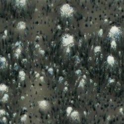 Glazes and Ceramics, Item Number 1432957