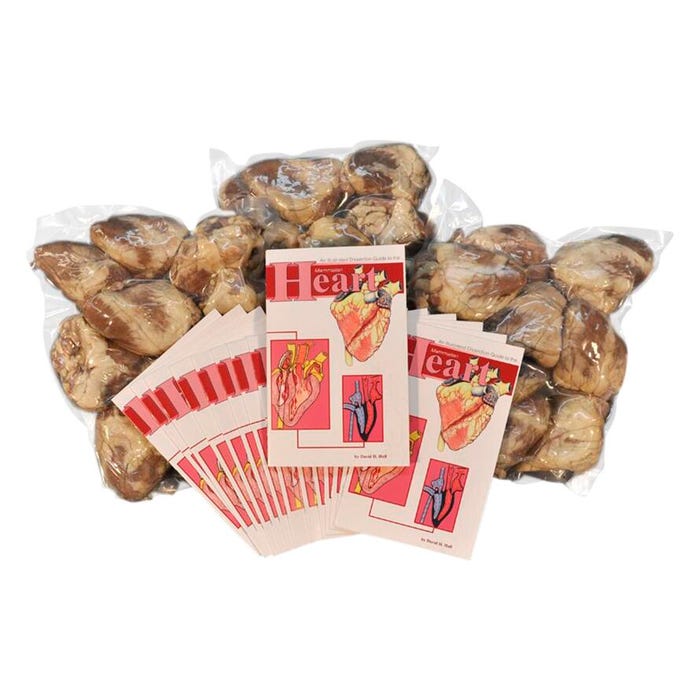 Frey Scientific Choice Preserved Sheep Hearts, Vacuum Sealed Pack of 30