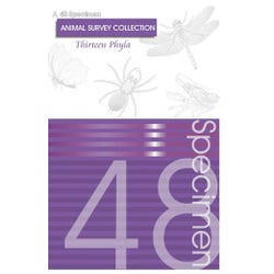 Frey Scientific Preserved Animal Survey Collection - Set of 48 Specimens, Item Number 1321901