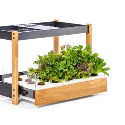 ANGLEIMAGES_FULLIMAGE