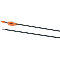 Archery, Archery, Archery Targets, Item Number 022389